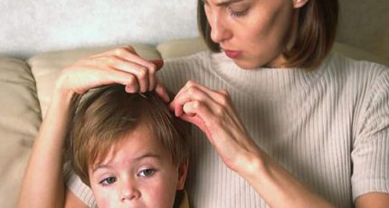 Помогает ли дегтярное мыло от вшей?